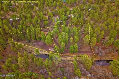 571 W Pine Shadow Drive, Lakeside, AZ 85929 - Photo 44