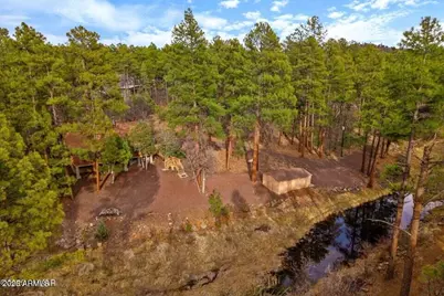 571 W Pine Shadow Drive, Lakeside, AZ 85929 - Photo 48