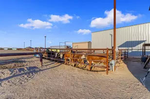 2258 W Silverdale Rd, San Tan Valley, AZ 85144 - Photo 60