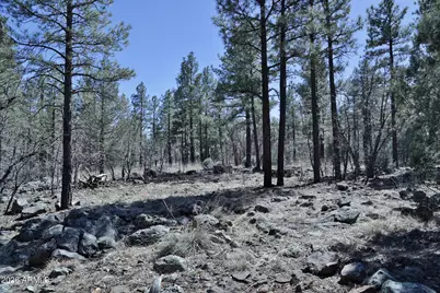 1030 W Big Springs Trail #-, Lakeside, AZ 85929 - Photo 4