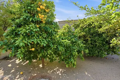 8944 E Lazywood Place, Carefree, AZ 85377 - Photo 52