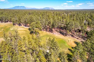 4219 Griffiths Spring, Flagstaff, AZ 86005 - Photo 14