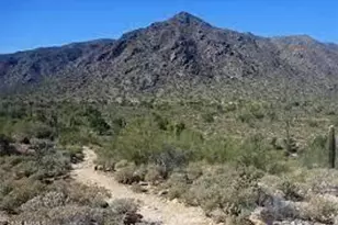 20199 W Luke Ave, Litchfield Park, AZ 85340 - Photo 4