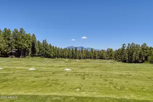 2569 Hart Merriam, Flagstaff, AZ 86005 - Photo 86