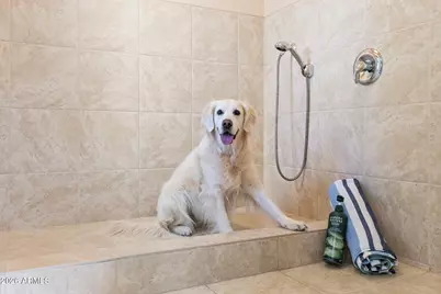 4252 N Diamond Point, Mesa, AZ 85207 - Photo 104