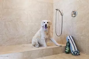 4252 N Diamond Point, Mesa, AZ 85207 - Photo 104