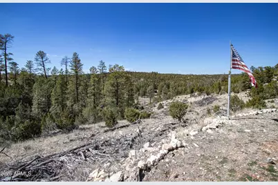 1740 Eskimo Lane #60, Heber, AZ 85928 - Photo 2