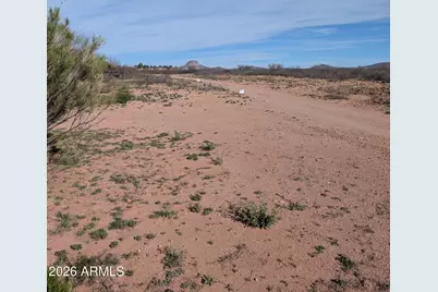 Lot 13, E 5th Street E #13, Douglas, AZ 85607 - Photo 6