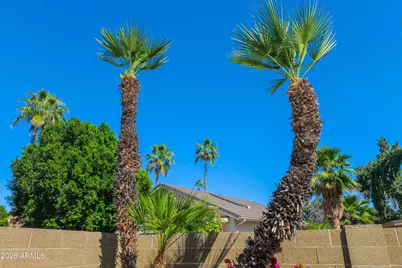 9038 E Riviera Drive, Scottsdale, AZ 85260 - Photo 40