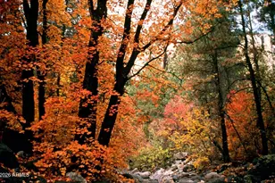 8351 N State Rte 89A, Sedona, AZ 86336 - Photo 36