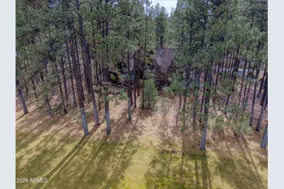 2912 Woodpecker Lane, Pinetop, AZ 85935 - Photo 4