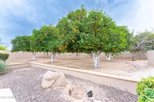 3552 E Jaeger Cir, Mesa, AZ 85213 - Photo 24