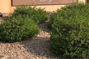 17464 N 92nd Glen, Peoria, AZ 85382 - Photo 66