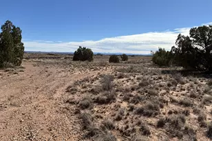 3Xx S Manor Circle S, Snowflake, AZ 85937 - Photo 1