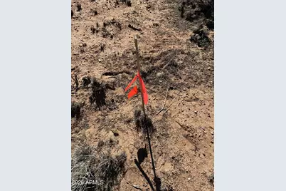 3Xx S Manor Circle S #4, Snowflake, AZ 85937 - Photo 4