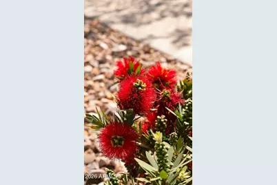 4159 E Cynthia Street, Gilbert, AZ 85295 - Photo 64