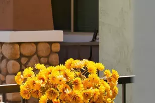 4159 E Cynthia St, Gilbert, AZ 85295 - Photo 6