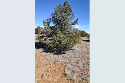 152 Acr 8057 -- #1263/1264, Concho, AZ 85924 - Photo 8