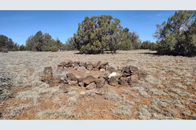 152 Acr 8057 -- #1263/1264, Concho, AZ 85924 - Photo 4