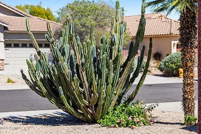 8373 W Mary Ann Drive, Peoria, AZ 85382 - Photo 6