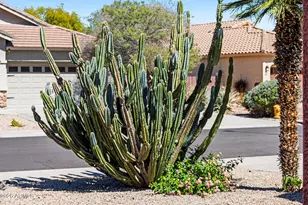 8373 W Mary Ann Dr, Peoria, AZ 85382 - Photo 6