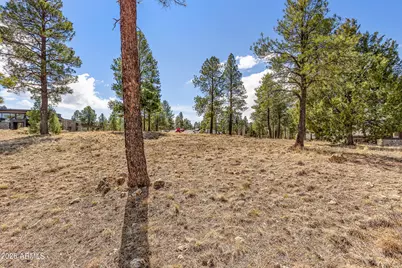 3401 S Brown Sage Court #261, Flagstaff, AZ 86005 - Photo 2