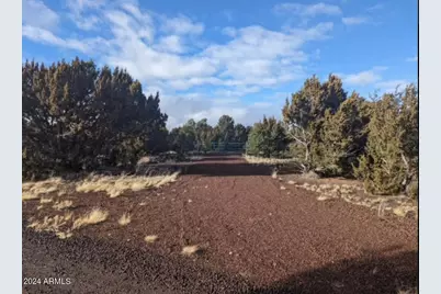 12 N3582 -- #(4.86 Acres), Vernon, AZ 85940 - Photo 4