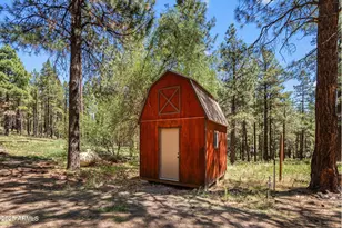 151 Deer Trail, Forest Lakes, AZ 85931 - Photo 30