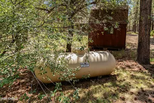 151 Deer Trail, Forest Lakes, AZ 85931 - Photo 42