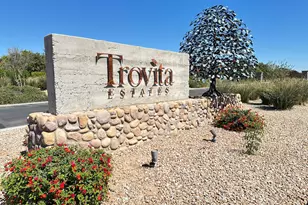 3637 E Ellis St, Mesa, AZ 85205 - Photo 36