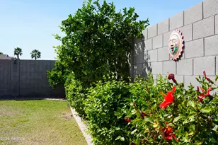 884 W Whistling Thorn Ave, Queen Creek, AZ 85140 - Photo 22