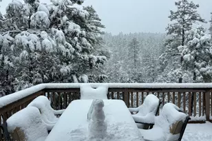 228 E Belluzzi Blvd, Payson, AZ 85541 - Photo 46