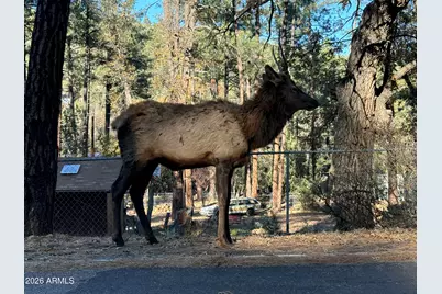 228 E Belluzzi Boulevard, Payson, AZ 85541 - Photo 44