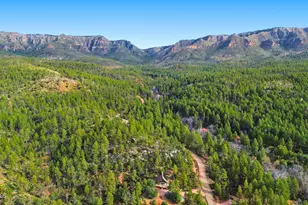 228 E Belluzzi Blvd, Payson, AZ 85541 - Photo 40