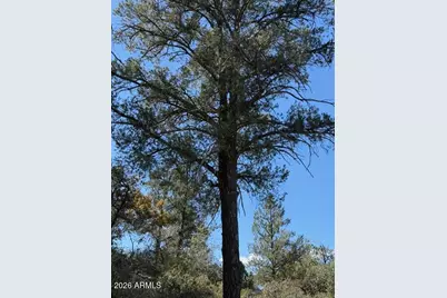 704 S Prestwick -- #140, Payson, AZ 85541 - Photo 54