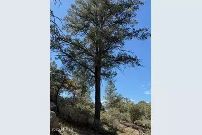 704 S Prestwick -- #140, Payson, AZ 85541 - Photo 56