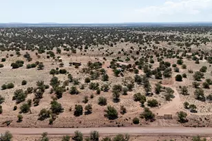 234 N9211 --, Snowflake, AZ 85937 - Photo 40