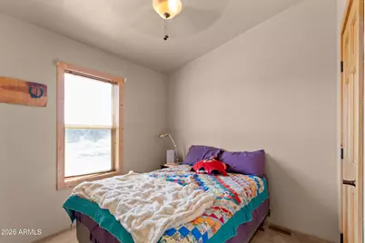 234 N9211 --, Snowflake, AZ 85937 - Photo 12