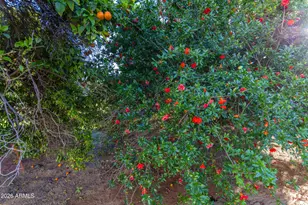 25412 S 183rd Pl, Queen Creek, AZ 85142 - Photo 20