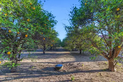 25412 S 183rd Place, Queen Creek, AZ 85142 - Photo 76