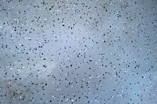 2237 W San Juan Circle, Apache Junction, AZ 85119 - Photo 48