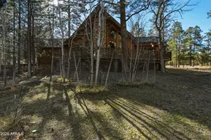 1893 Pine Canyon Dr, Happy Jack, AZ 86024 - Photo 32