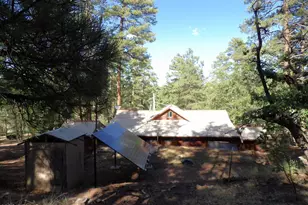 1734 Willow Mountain Rd, Happy Jack, AZ 86024 - Photo 12