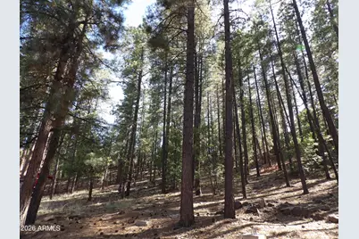 1734 Willow Mountain Road, Happy Jack, AZ 86024 - Photo 34