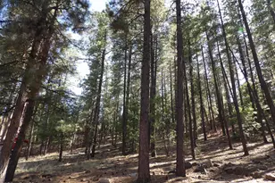 1734 Willow Mountain Rd, Happy Jack, AZ 86024 - Photo 34