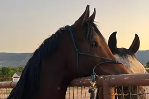 2770 S Country Hill Rd, Cornville, AZ 86325 - Photo 12