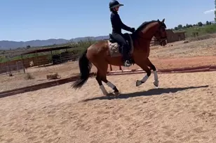 2770 S Country Hill Rd, Cornville, AZ 86325 - Photo 4