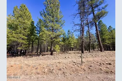 1865 Pine Canyon Drive #168, Happy Jack, AZ 86024 - Photo 1