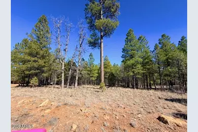 1865 Pine Canyon Drive #168, Happy Jack, AZ 86024 - Photo 2