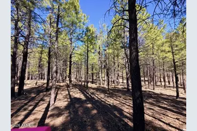 1865 Pine Canyon Drive #168, Happy Jack, AZ 86024 - Photo 4